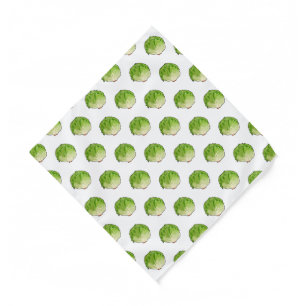 Lettuce cartoon illustration  bandana
