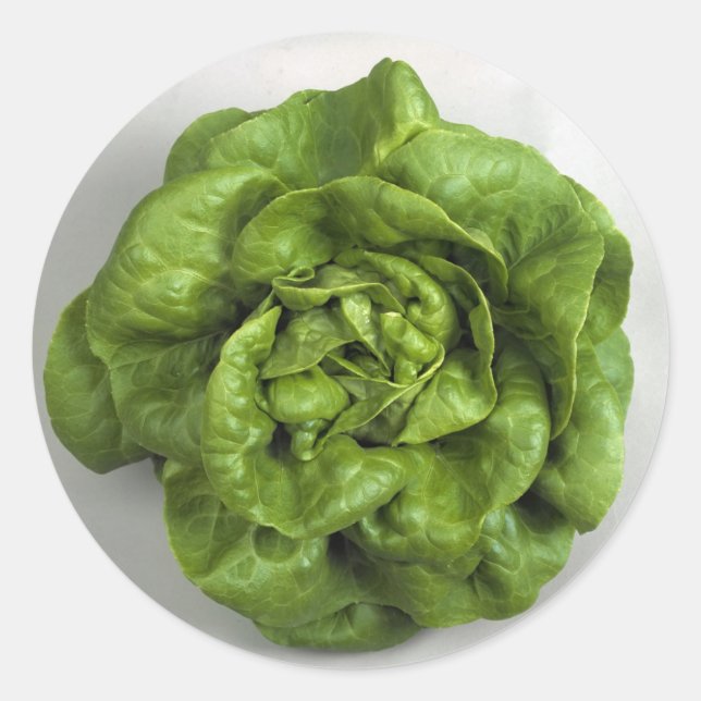 Lettuce Fresh Classic Round Sticker (Front)