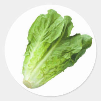 Lettuce Garden Label