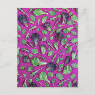 Lettuce Greens on Purple Postcard