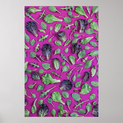 Lettuce Greens on Purple Poster