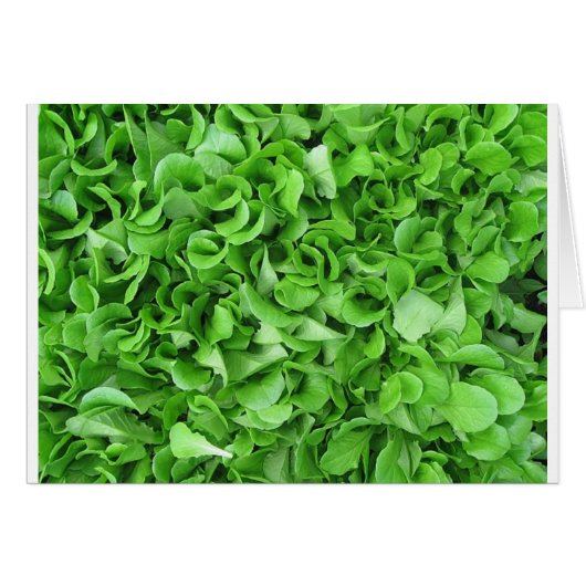 lettuce lovers cards (Front Horizontal)