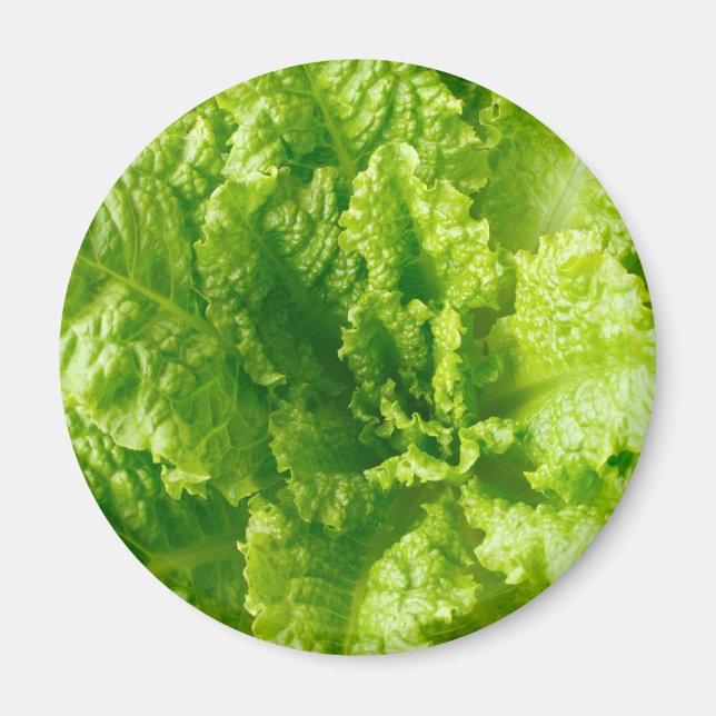 Lettuce Magnet (Front)