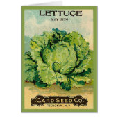 Lettuce Seed Pack (Front)