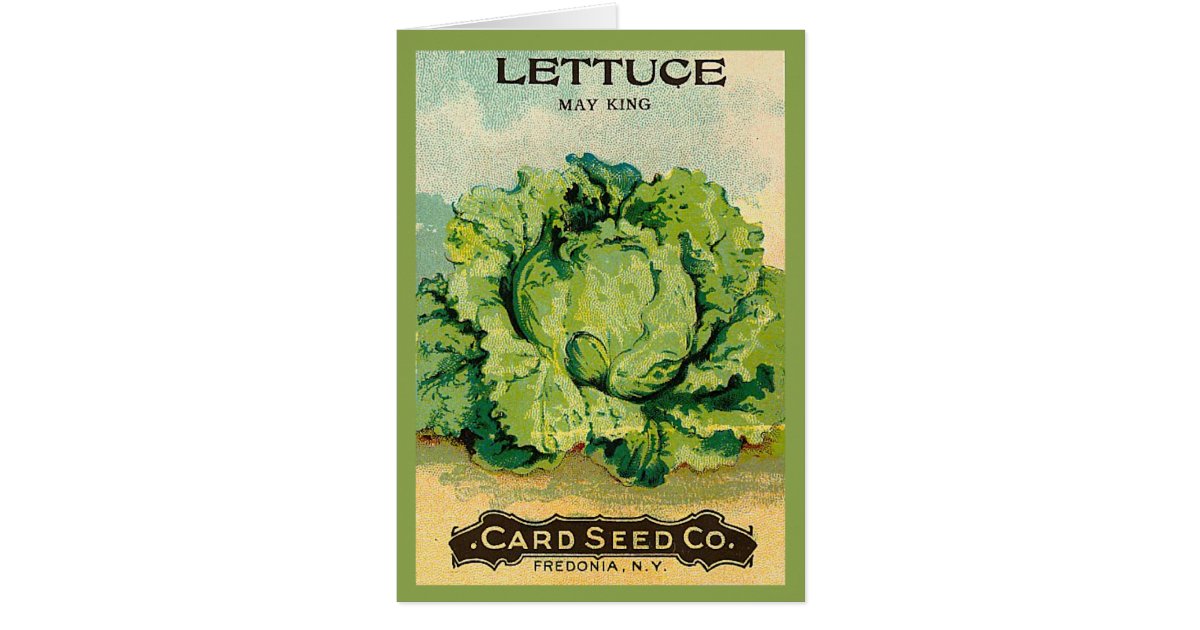 Lettuce Seed Pack | Zazzle