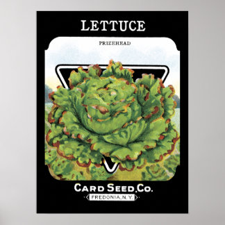 Lettuce Seed Packet Label Poster