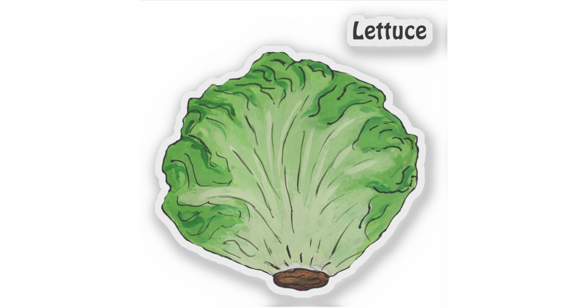 Lettuce Sticker Zazzle