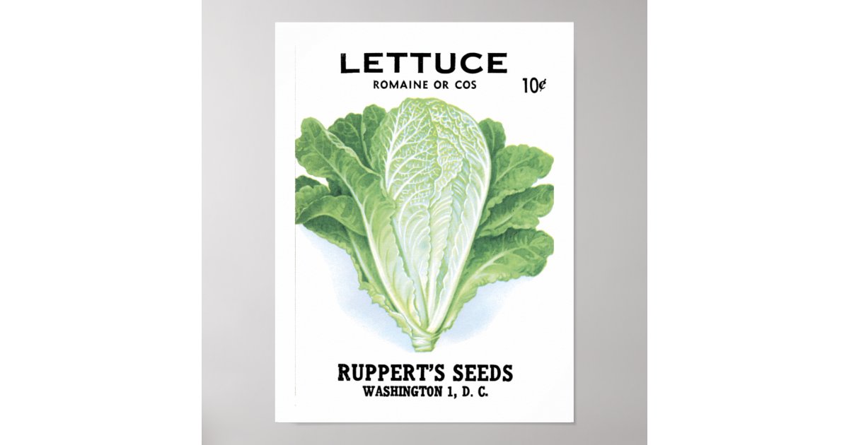 Lettuce Vintage Seed Packet Poster | Zazzle