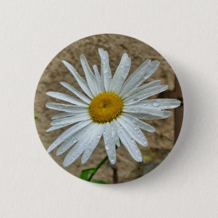 Leucanthemum Bloom Badge Button