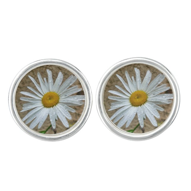 Leucanthemum Bloom Cufflinks (Front)