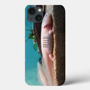Leucistic Axolotl iPhone 13 Case