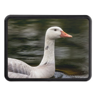 Leucistic Canadian Goose Hitch Cover