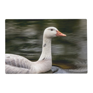 Leucistic Canadian Goose Placemat