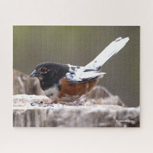 Leucistic Spotted Towhee Sparrow Songbird on Stump Jigsaw Puzzle