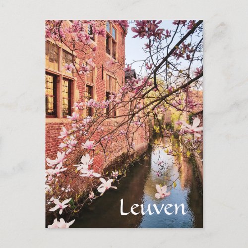 Leuven Belgium travel photo   Postcard