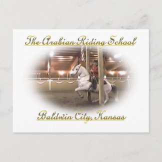 Levade w/ rider, Postcard