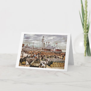 Levee at Canal Street New Orleans 1900 Card