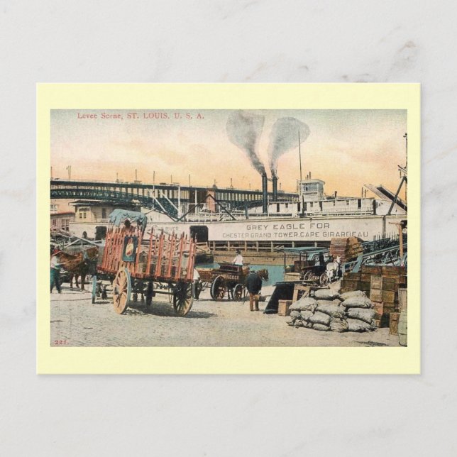 Levee Scene, St. Louis, Missouri Vintage Postcard (Front)