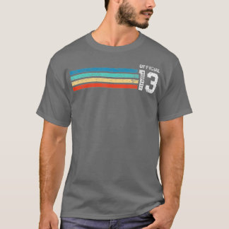 Level 13 Unlocked 13th Video Birthday Gift (133 T-Shirt