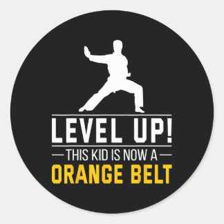 Level Up! This Kid Is Now A Orange Belt Karate Awa Classic Round Sticker