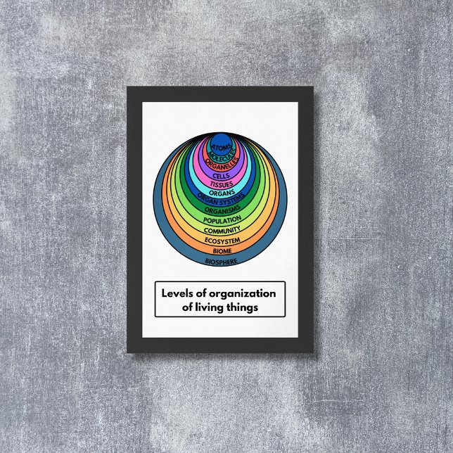 Levels of organization of living things poster (Creator Uploaded)