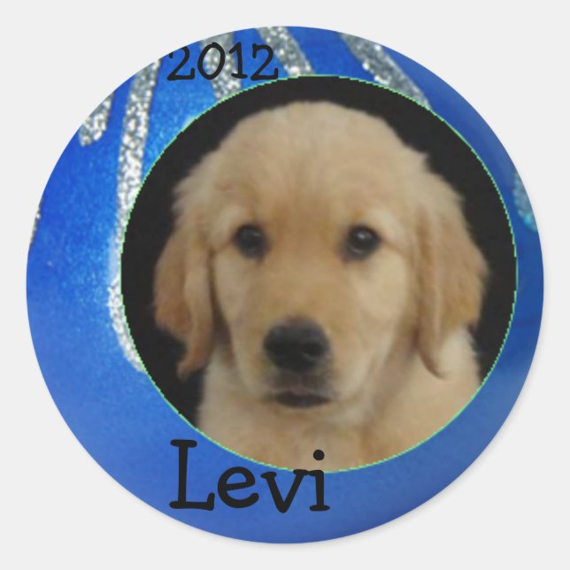 Levi 2012 Sticker Sheet (Front)