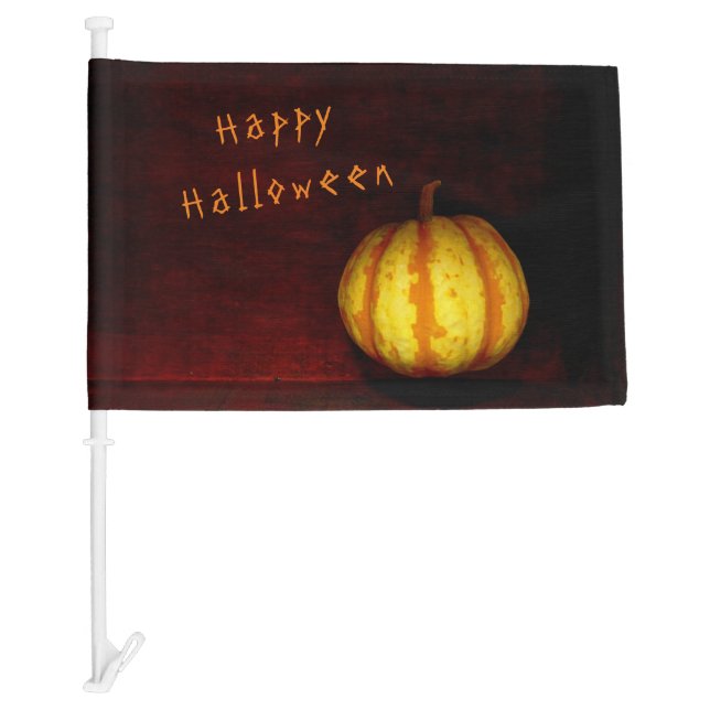 Levitate Pumpkin - Still Life Car Flag (Front)