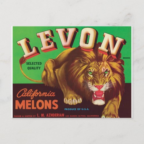 Levon Melons Tiger Los Banos Blythe California Art Postcard