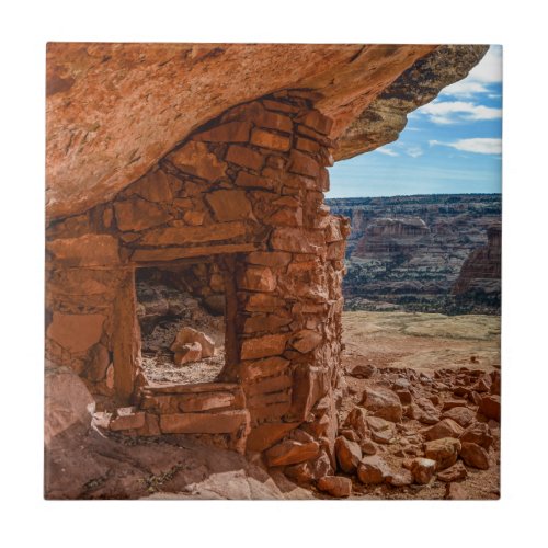 Lewis Lodge Anasazi Ruin _ Cedar Mesa _ Utah Tile