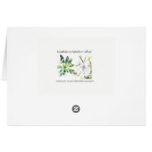 Lewisia cotyledon 'alba' (5" x 7"),  + envelopes cards (Back Horizontal)