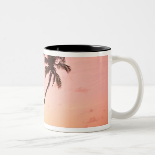 Lewolin Village Illi Api Island Selat Boleng Two_Tone Coffee Mug