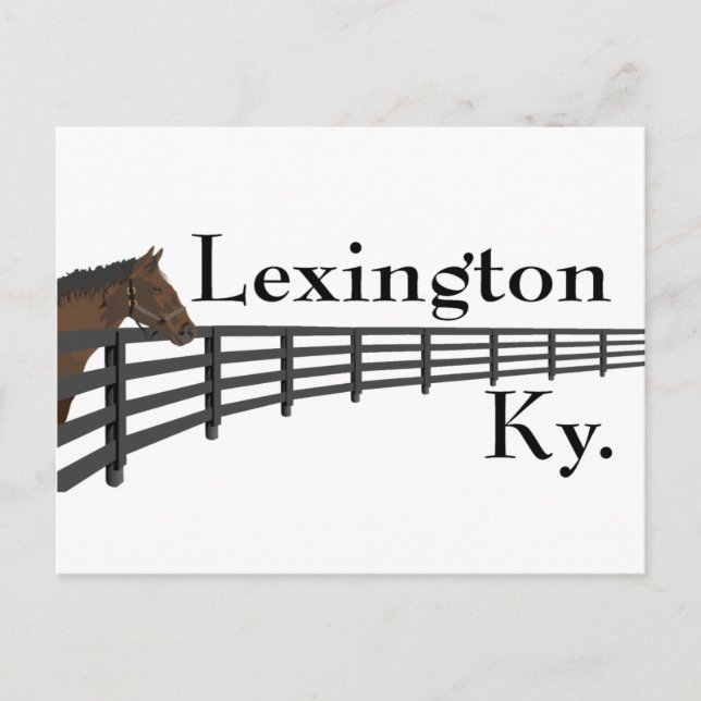 Lexington Kentucky Horse and Fence Postcard (Front)