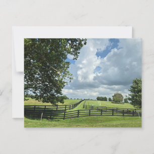 Lexington, Kentucky Postcard