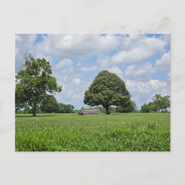 Lexington, Kentucky Postcard (Front)
