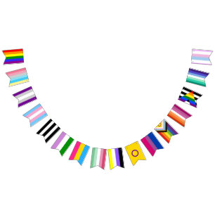 LGBT All Flag Pride Member Bunting Banner Party