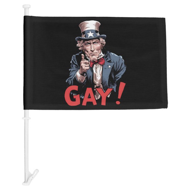 LGBT Gay Ally Pride Month Funny Car Flag (Front)