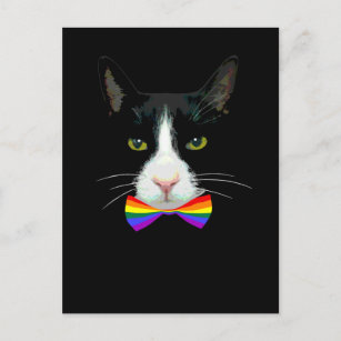 LGBT Gay Cat with Rainbow Bow Tie Postcard