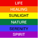 LGBT Gay Pride Rainbow flag with custom text Cutout<br><div class="desc">Show your pride with this LGBT gay pride rainbow Cutout. The meaning of the colors are written on it which can be customized according to your wish by clicking personalize it option.</div>