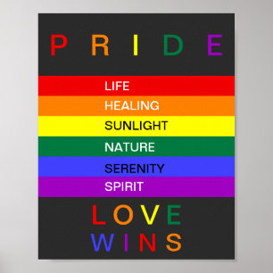 LGBT Gay Pride Rainbow Love Wins Custom Poster