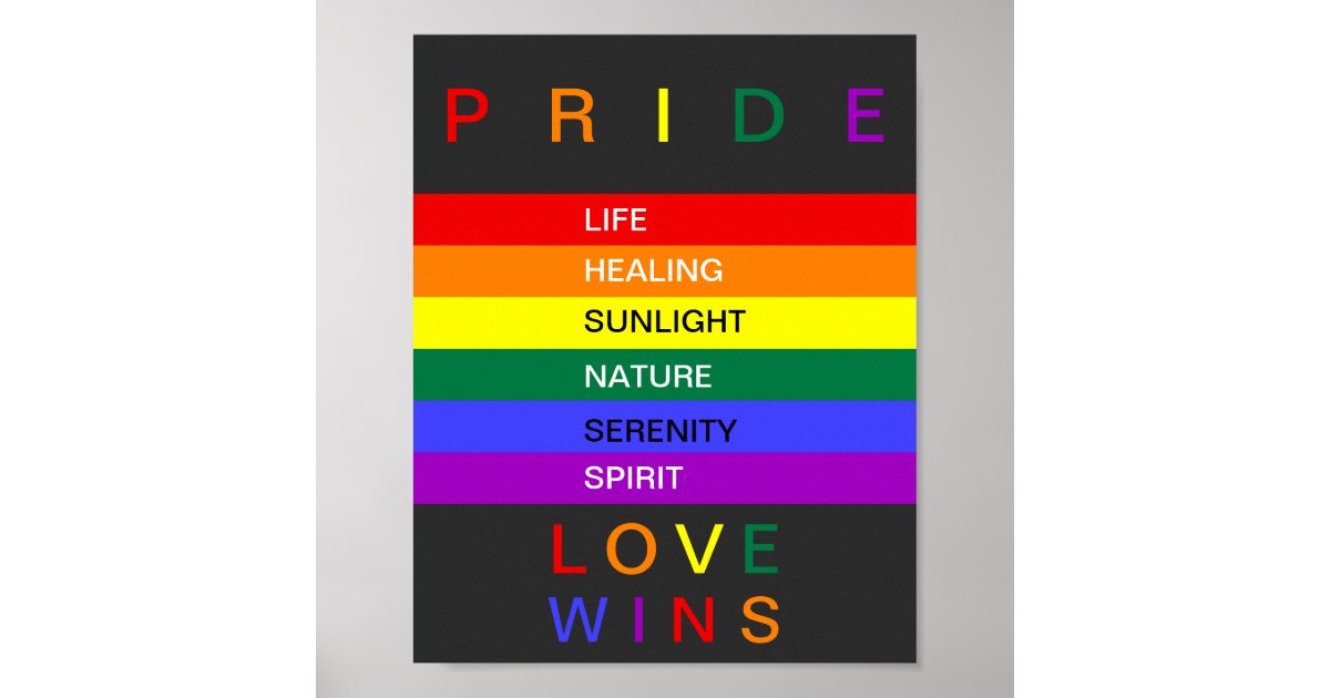 LGBT Gay Pride Rainbow Love Wins Custom Poster | Zazzle