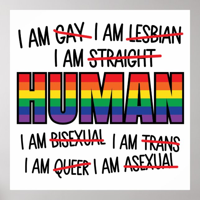 LGBT I'm gay,  I'm Human Poster (Front)
