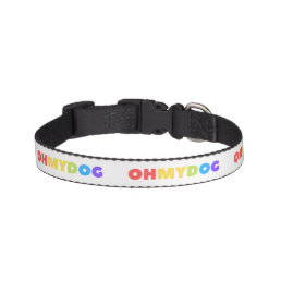 LGBT Pride dog collar &#39;OH MY DOG&#39;- rainbow text