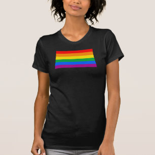 LGBT Pride Flag / Rainbow Flag T-Shirt