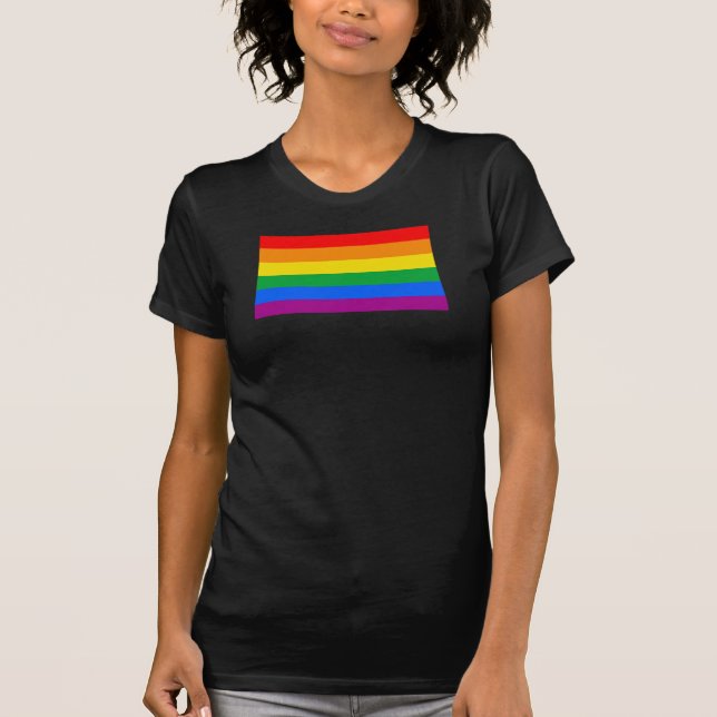 LGBT Pride Flag / Rainbow Flag T-Shirt (Front)