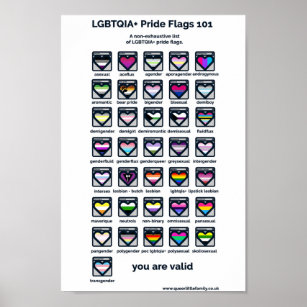 LGBT Pride Flags Identifier Poster