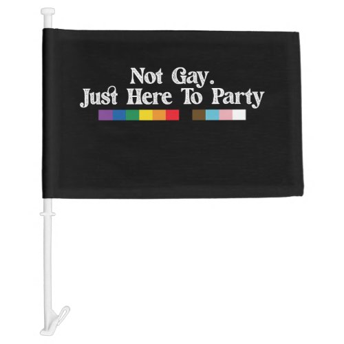 LGBT Pride Not Gay Just Here To Party Support Car Flag
