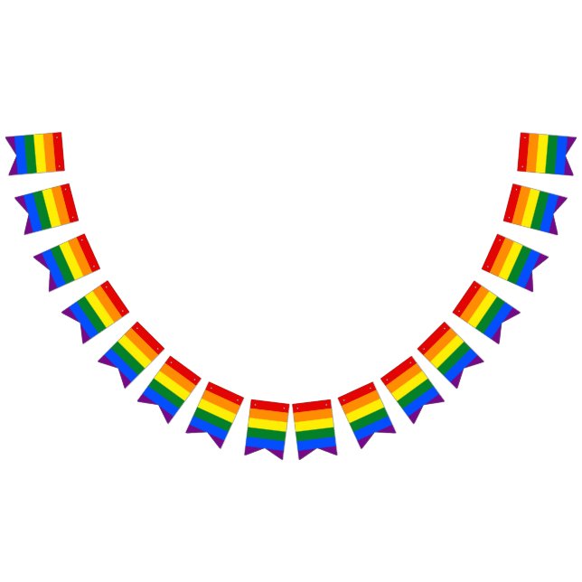 LGBT Pride Rainbow Bunting Flags (All)