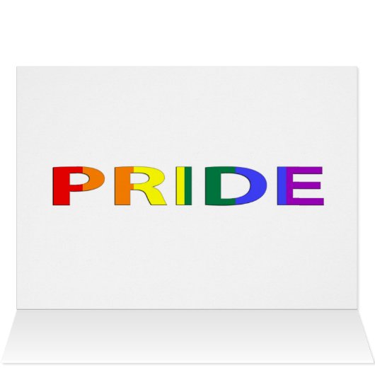 LGBT Pride Rainbow Flag (Inside Horizontal (Top))