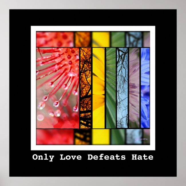 LGBT Pride Symbol Love Defeats Hate Nature Rainbow