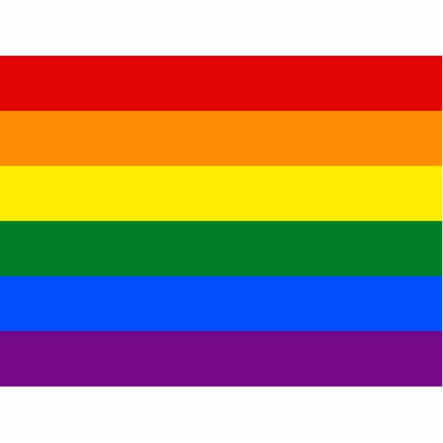 LGBT Rainbow Gay Pride Flag Cutout (Front)